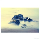 dailyPhoto10